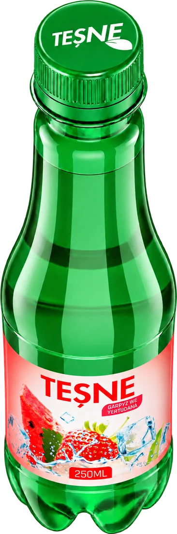 TEŞNE Garpyz we ýertudana 0,25 L